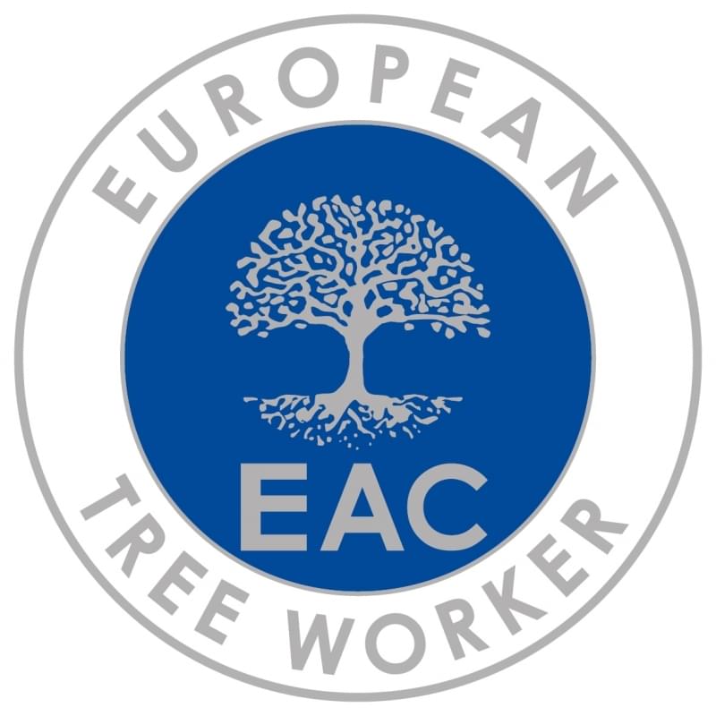 European tree worker in Recklinghausen