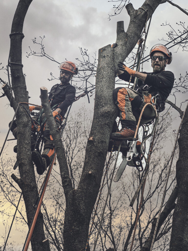 Baumpflege Team Recklinghausen Über Uns